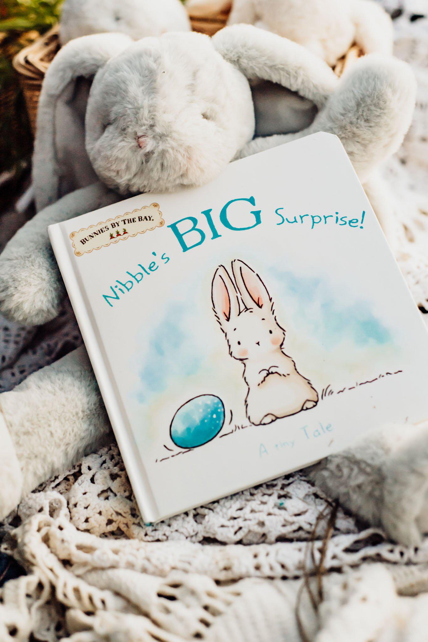 RETIRED - Nibble's Big Surprise Book