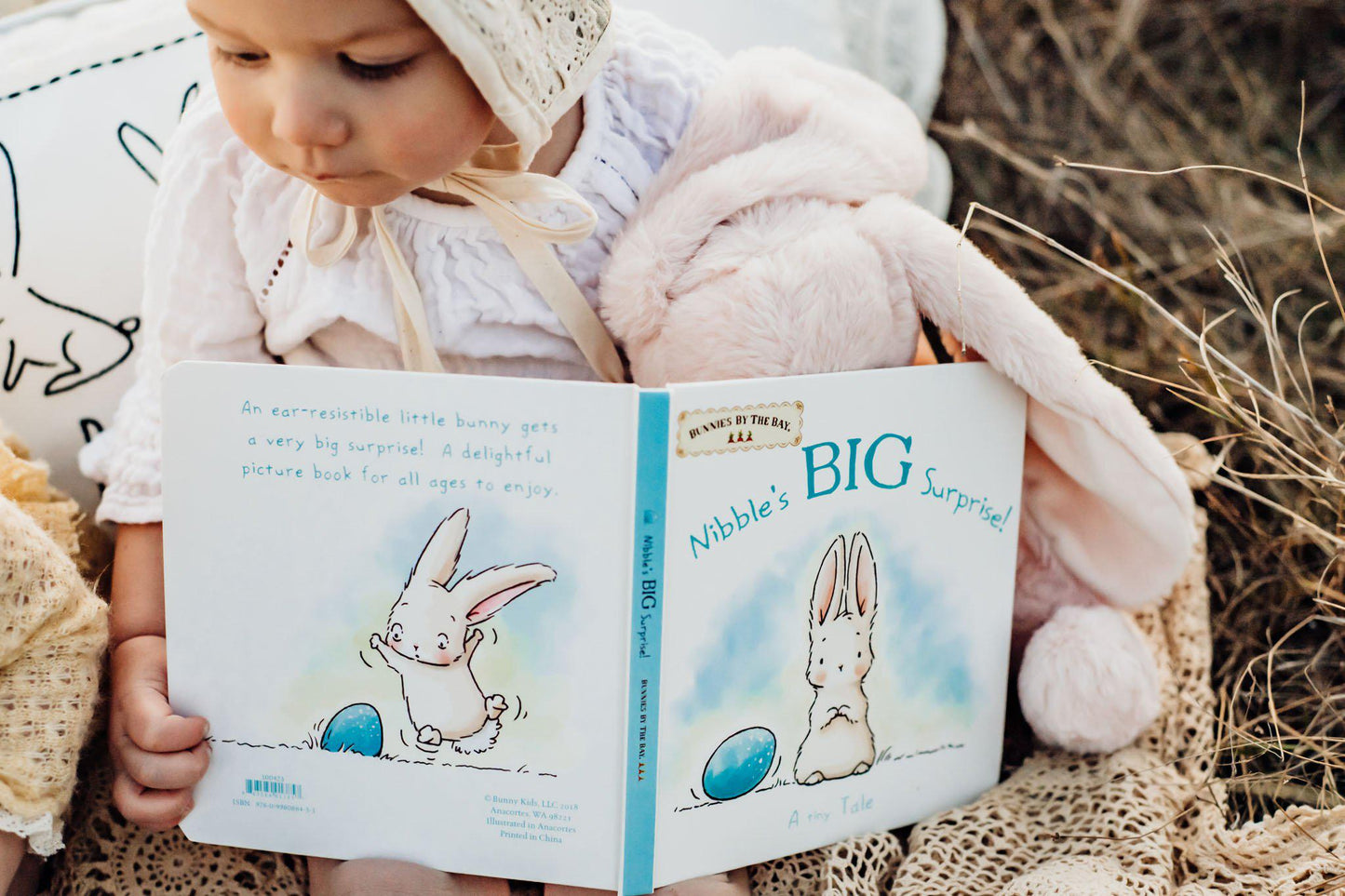 RETIRED - Nibble's Big Surprise Book